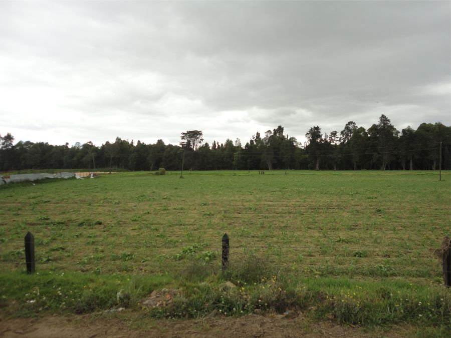 La-Glorieta-1-compressor.jpg